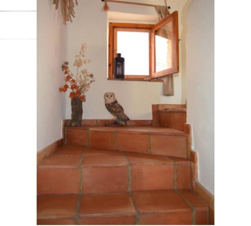 Landhaus La Casa Del Teix Eslida